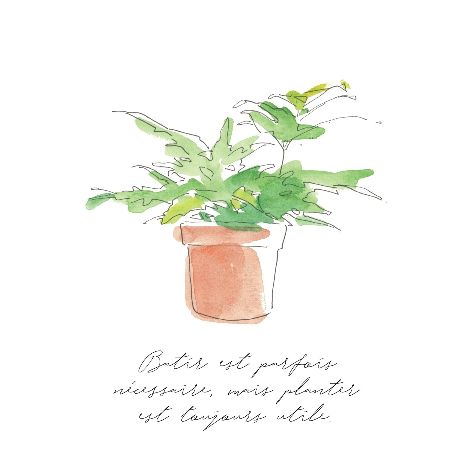 Small Plant Posters - 3 Pack - Image 2