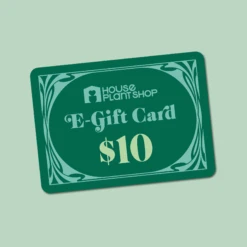 $10 Gift Card