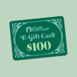 $100 Gift Card
