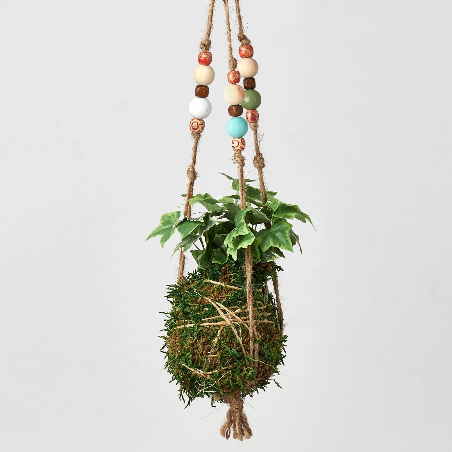 Bead Kokedama Moss Ball Hanging Plant - Image 2