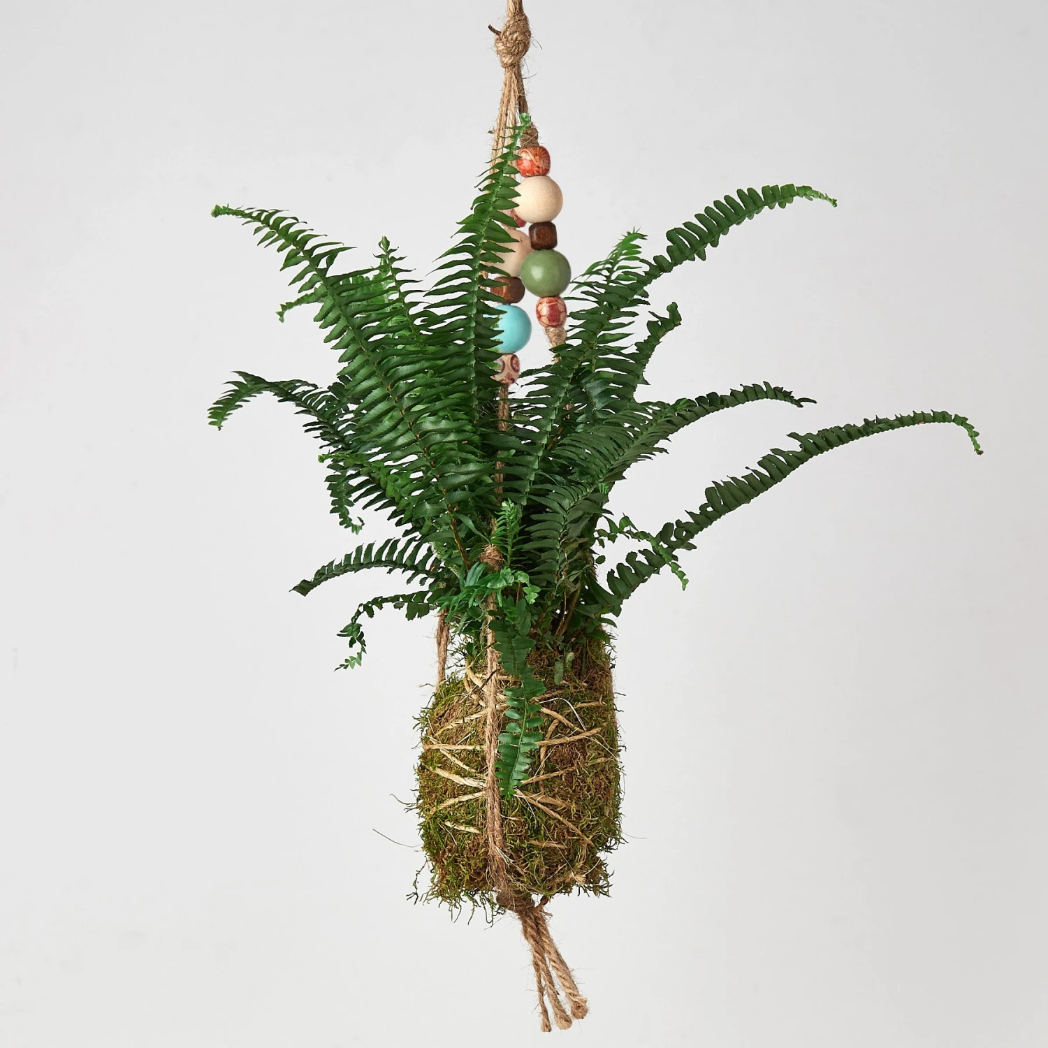 Bead Kokedama Moss Ball Hanging Plant - Image 3
