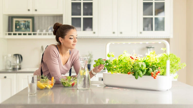 Click & Grow Smart Garden 9 | Automatic Indoor Garden - Image 5