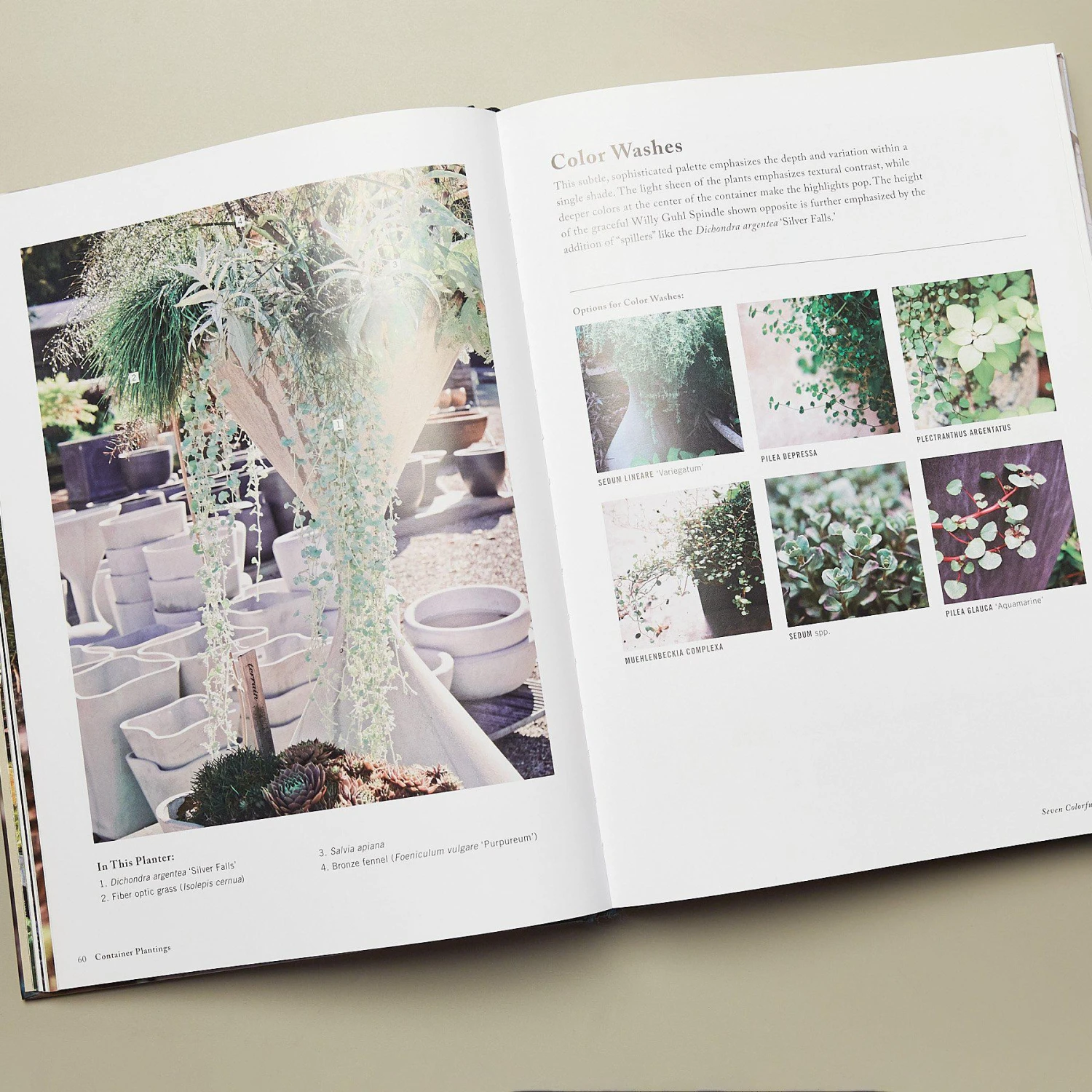 Book - Terrain - Image 2