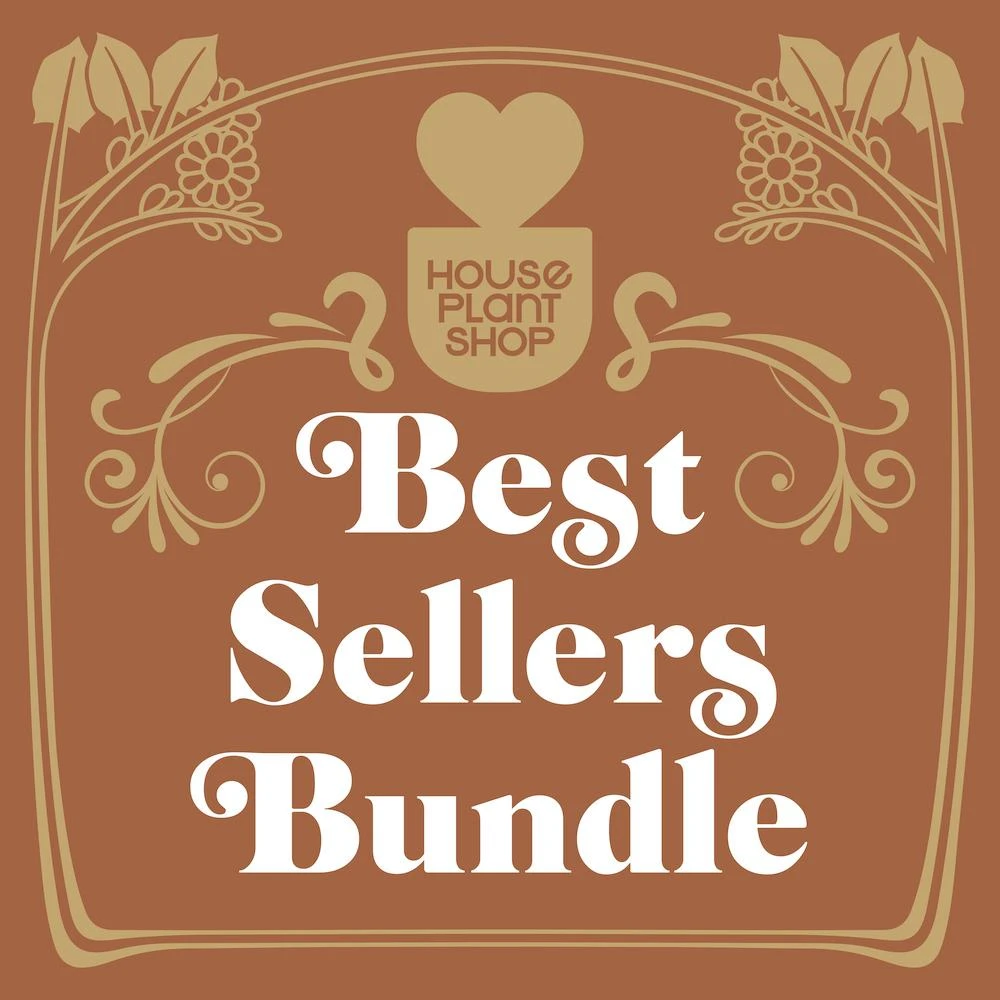 Best Selling Bundle - Image 2