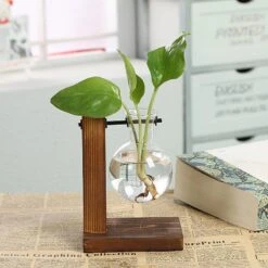 Hydroponic Vintage Vase