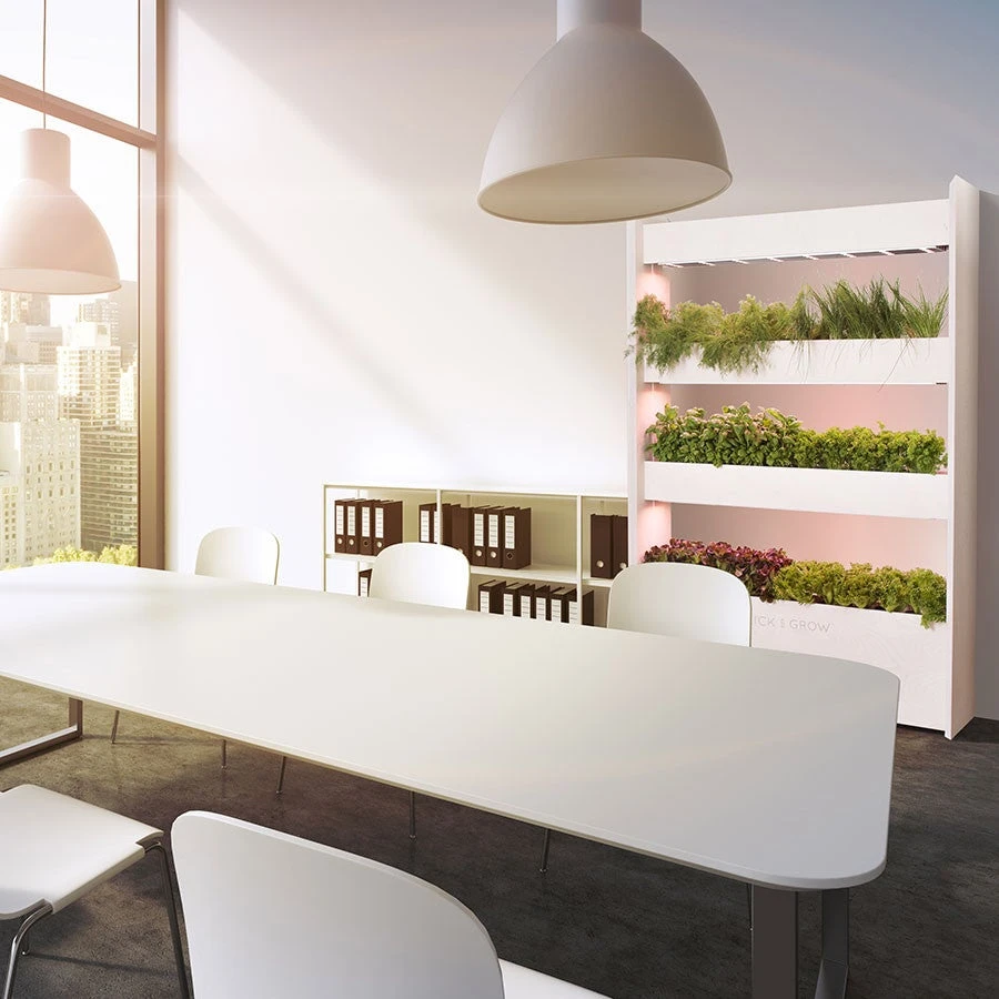 Click And Grow | Wall Farm - Image 4